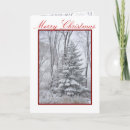Search for spruce christmas cards Tree