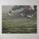 Recherche de adversité posters Défi