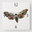 Recherche de drawing horloges Butterflies