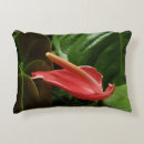 Search for calla lily pillows Nature