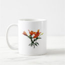 Search for orange lilies mugs Garden