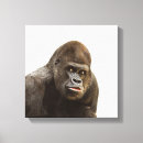 Search for cool gorilla posters Wild