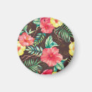 Search for dark background magnets Flower
