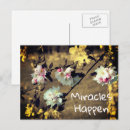 Search for miracles postcards Inspirational