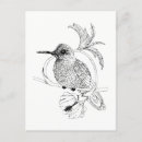 Search for colibri postcards Bird