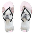 Search for french bulldog sandals Puppy