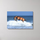Search for sea horse canvas prints Bob langrish
