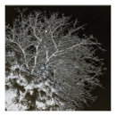 Recherche de branches posters Arbre