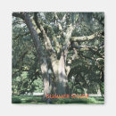 Recherche de faune et flore magnets Vert