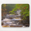 Search for along mousepads Fall