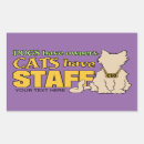 Recherche de cats autocollants Drôle