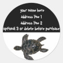 Search for save the sea turtles stickers Wildlife