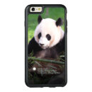 Search for china protective iphone 6 plus cases bear