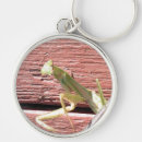 Search for mantids keychains Praying mantis