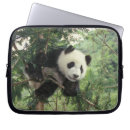 Search for panda baby electronics Cub