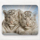 Search for cub electronics Wildcats