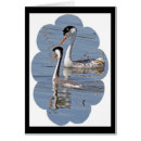 Search for grebe Nature
