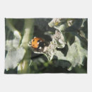 Recherche de coccinelle cuisine linges Adorable