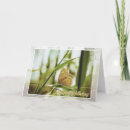 Search for may birthday cards Nature