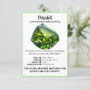 Recherche de abondance invitations Pour tous