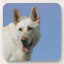 Recherche de alsacien dessous de verres Plomb et pam langrish