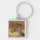 Search for white tail keychains Buck