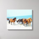 Search for sea horse canvas prints Horses