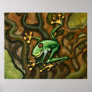 Search for cute frog art Tropical