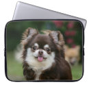Recherche de chiwawa ordinateurs portables protections Position