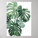 Recherche de fermeture posters Feuille