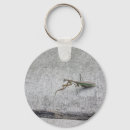 Search for mantis round keychains Praying