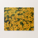 Search for daisy puzzles Nature