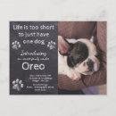 Search for new puppy announcement postcards Cute