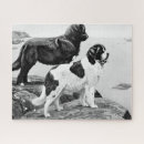 Search for newfoundland dog puzzles Newfie