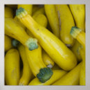 Recherche de courge posters Légumes