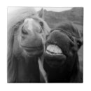 Recherche de sourire carreaux Heureux