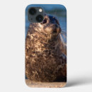 Search for pools ipad cases California