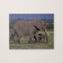 Recherche de éléphant africain puzzles Mammifère