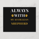 Recherche de bergers cartes postales Chiens