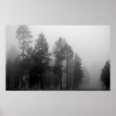 Search for black and white forest art Mountains