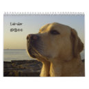 Recherche de labrador calendriers Mignon