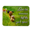 Recherche de chiot drôle magnets Chien