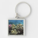 Search for great barrier reef keychains Queensland