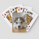 Search for corgi playing cards Pembroke welsh corgi