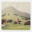 Search for indian buffalo stickers 19th
