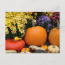Recherche de assortiment cartes postales Détail