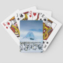 Recherche de pingouins jeux de cartes Nature