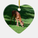 Search for fawn deer ornaments Nature