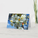 Search for apple christmas cards Flowers