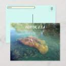 Search for florida manatee postcards Postcrossing